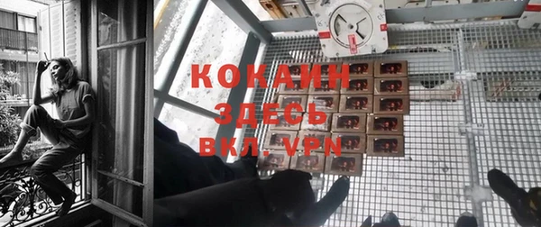 соль ск Зеленокумск