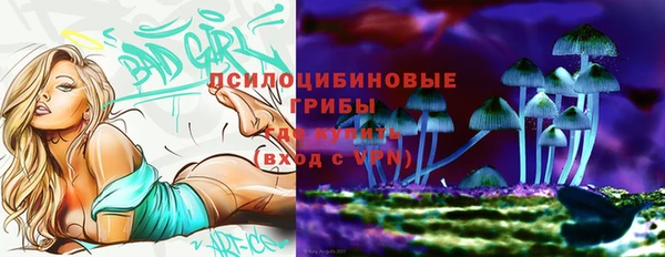 соль ск Зеленокумск