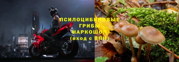 соль ск Зеленокумск