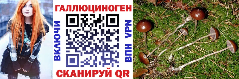 Купить закладки  Неман  Псилоцибиновые грибы прущие грибы 